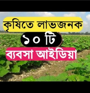 কৃষিতে বর্তমান সময়ের সবচেয়ে লাভজনক ১০টি ব্যবসা আইডিয়া