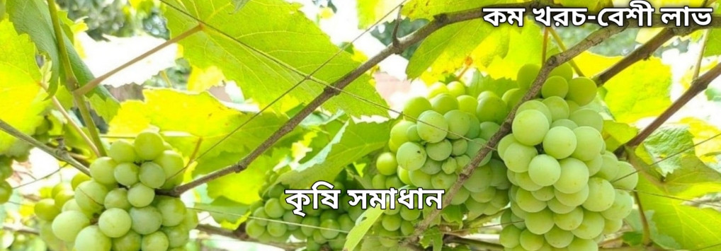 Sonet Agro promo